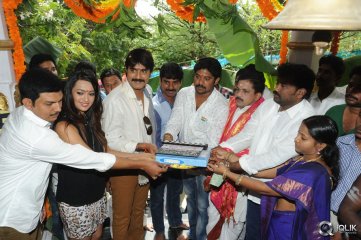 Jalsa Rayudu Movie Opening